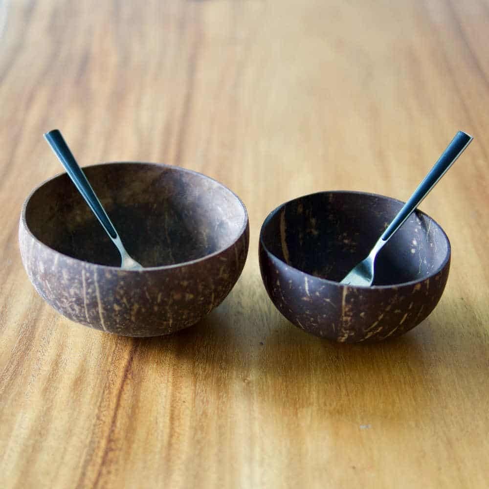 Best Coconut Bowls