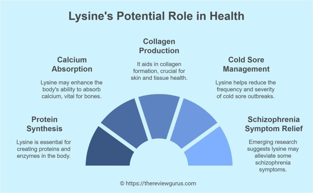 Lysine's Potential Role in Health