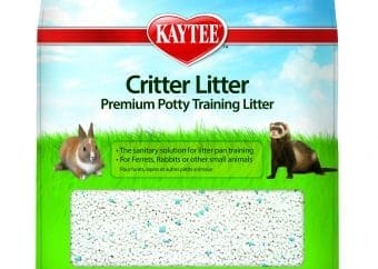 best rat litter