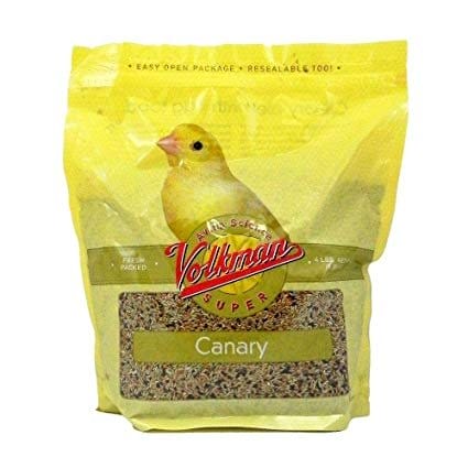 7 Best Canary Foods & More: Ultimate Guide to Feeding Canaries