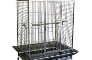 best parrot cage
