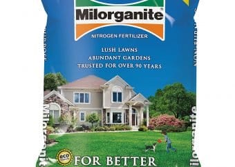 best nitrogen fertilizer