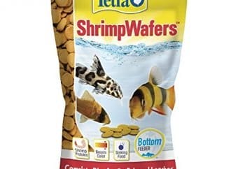 best catfish food