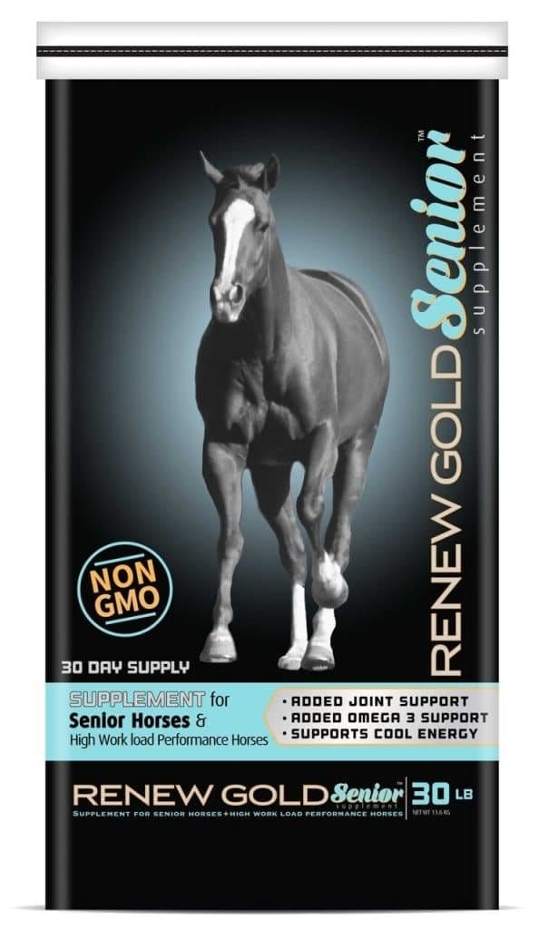 Best Senior Horse Feed