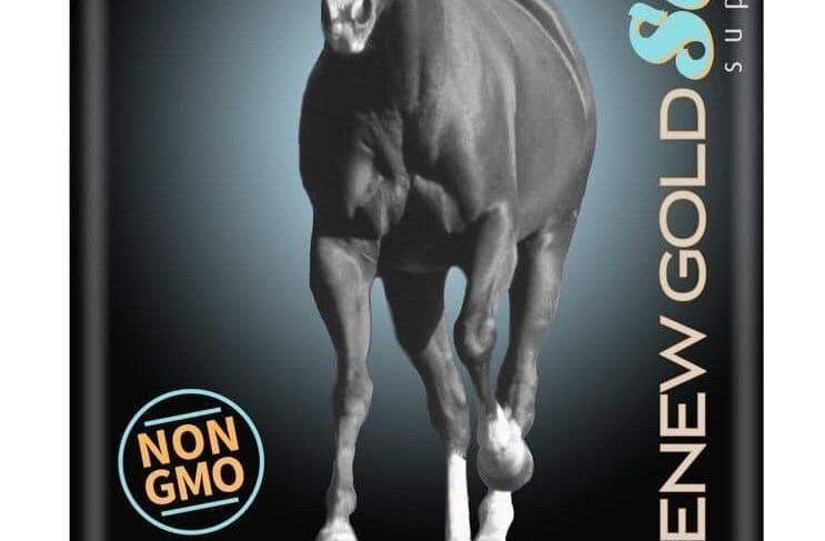 Best Senior Horse Feed