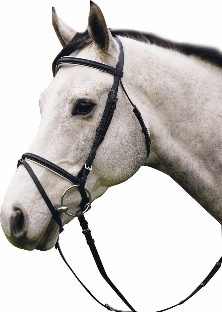 Best Dressage Bridle