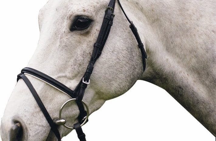 Best Dressage Bridle