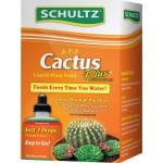Best Cactus Fertilizer