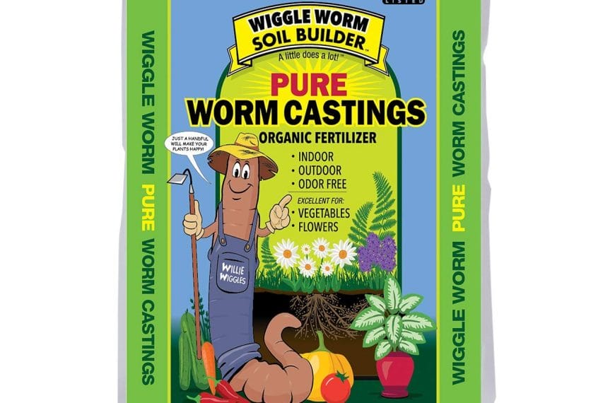 Best Worm Castings