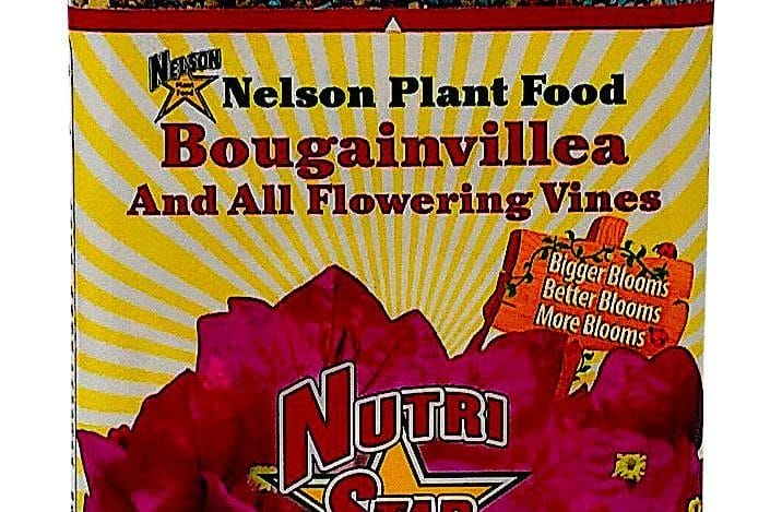 Best Bougainvillea Fertilizer