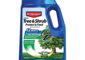 Best Tree Fertilizer