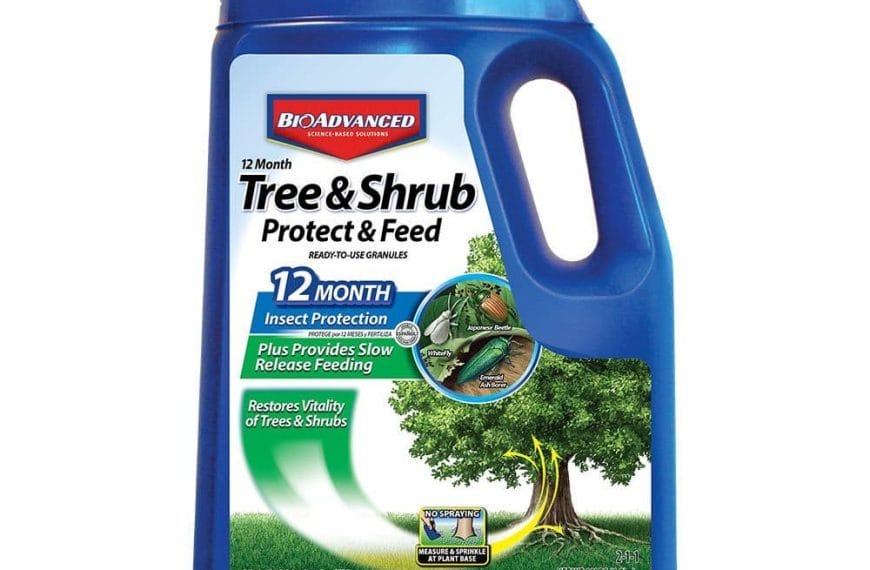 Best Tree Fertilizer