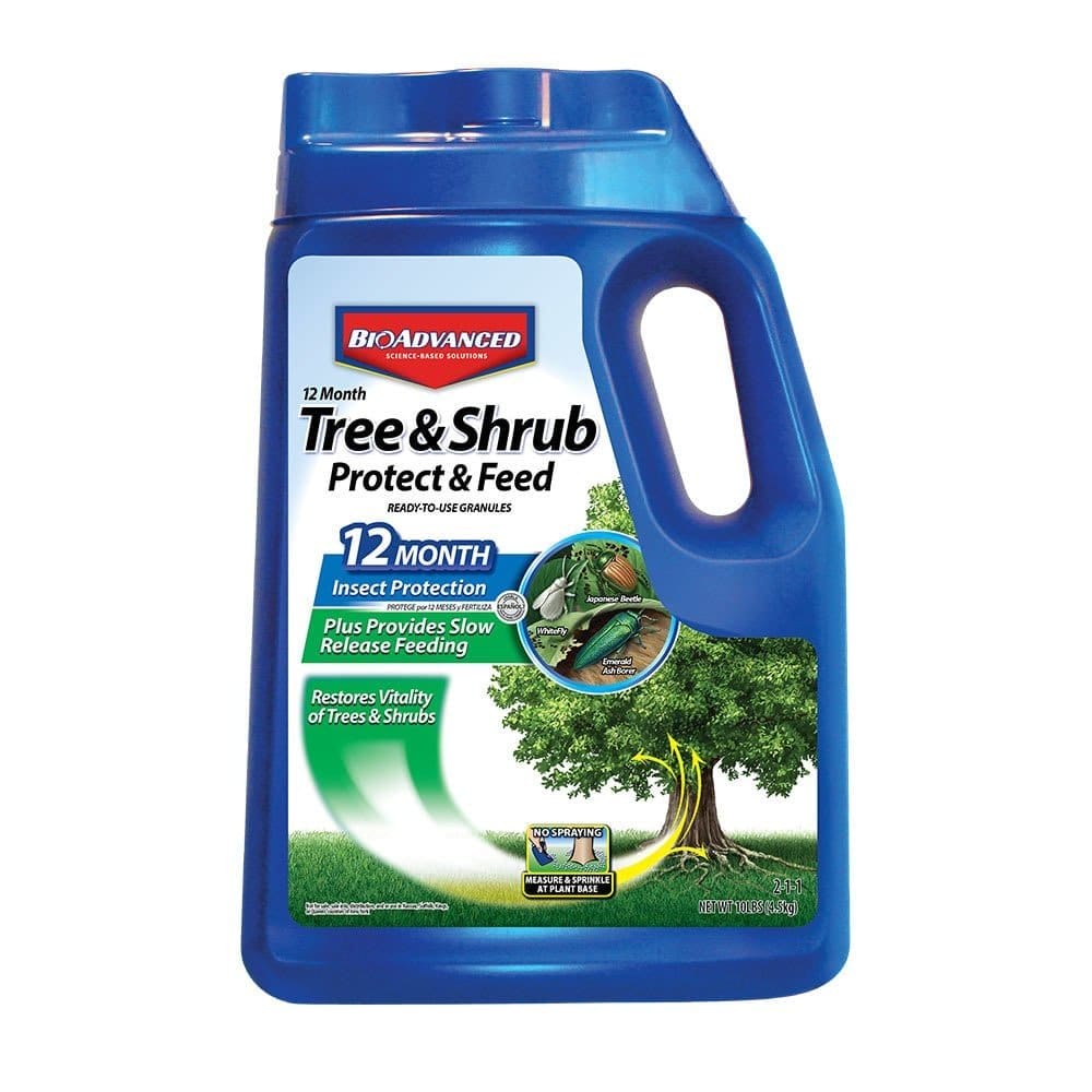 Best Tree Fertilizer Reviews