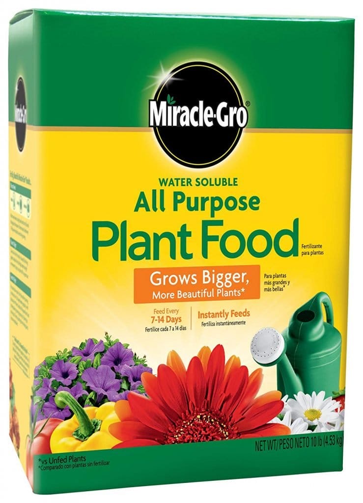 Best Clematis Fertilizer