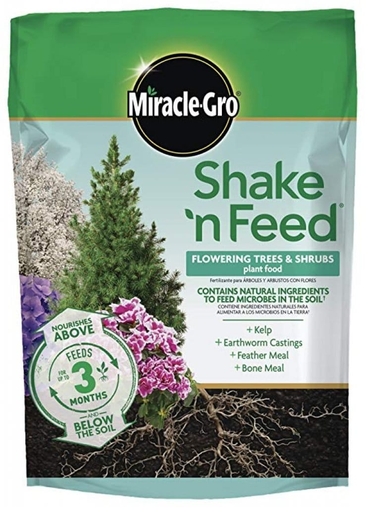 Best Arborvitae Tree Fertilizer