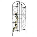 best clematis trellis