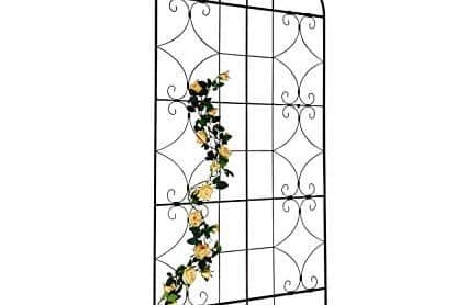 best clematis trellis