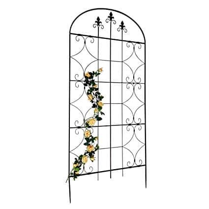 best clematis trellis