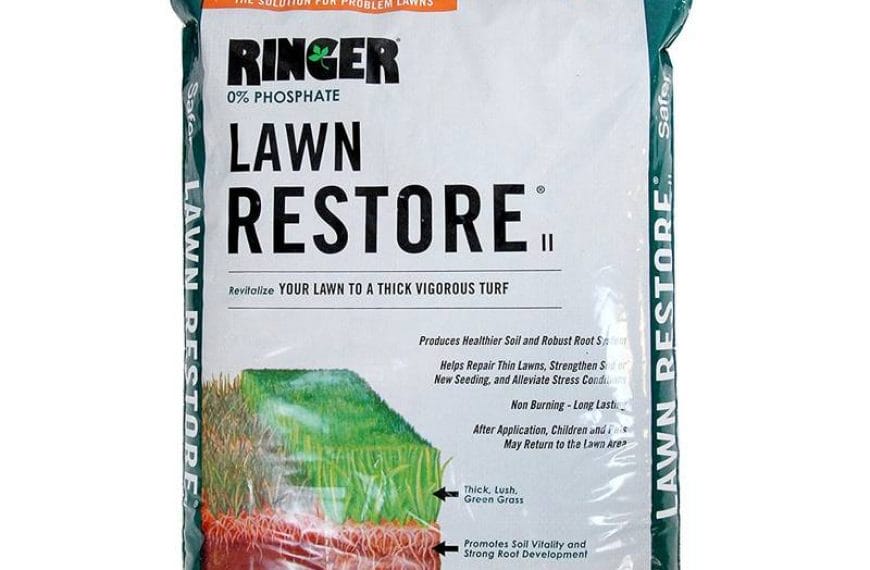 Best St Augustine Grass Fertilizer