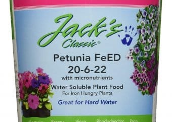 Best Petunias Fertilizer