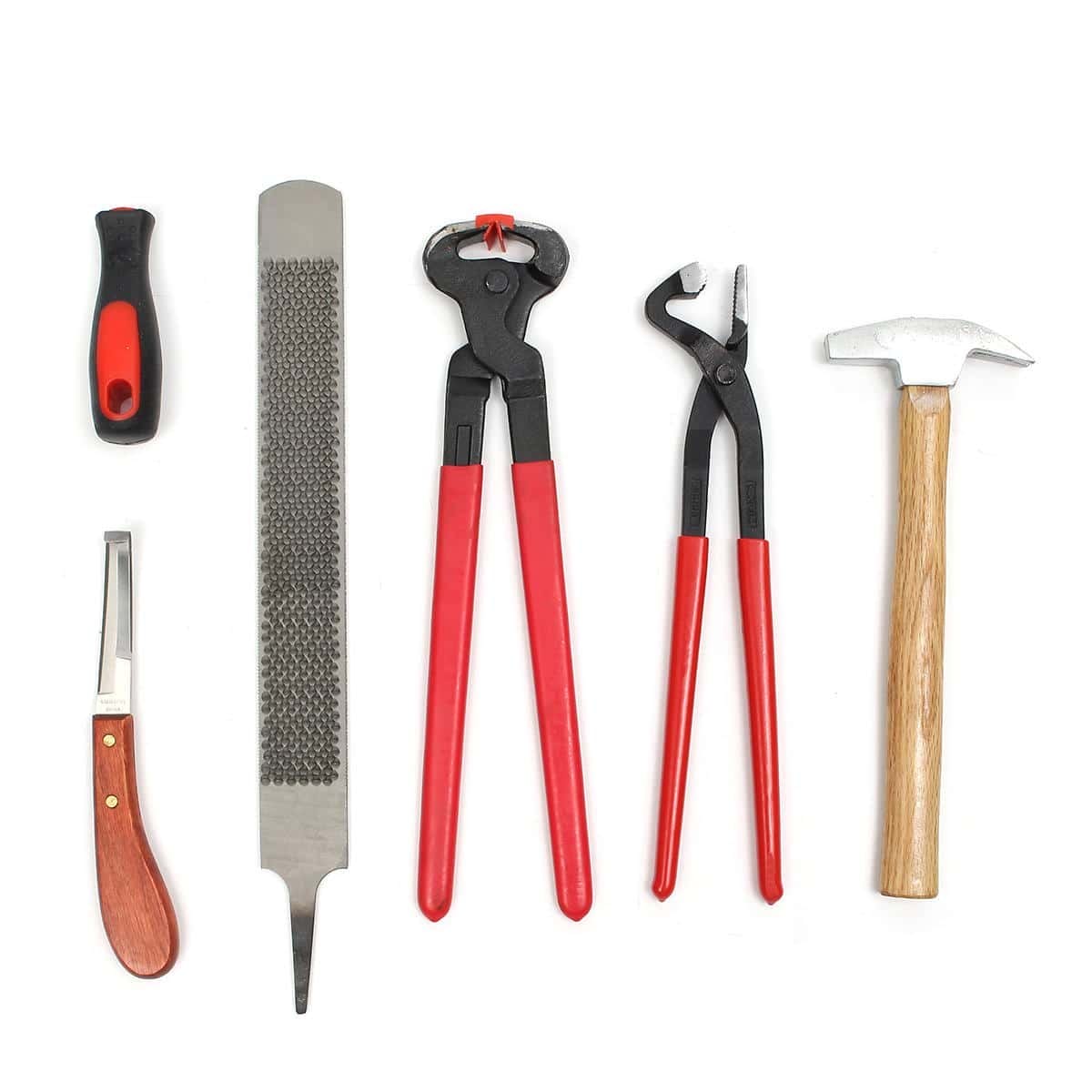 Best Farrier Tools