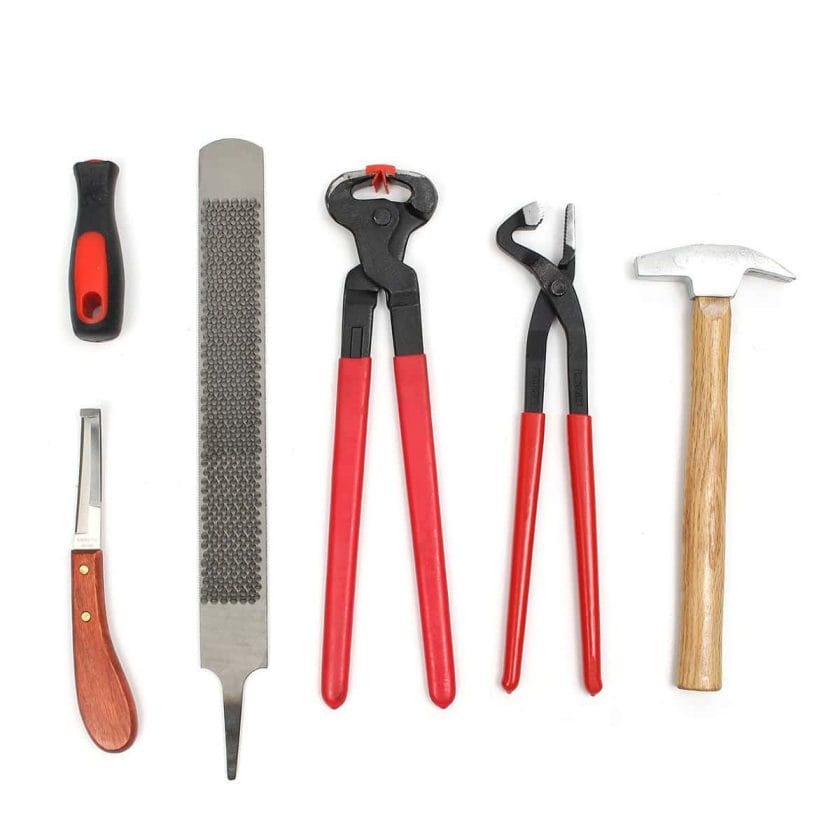 best farrier tools