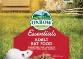 best food for pet rats