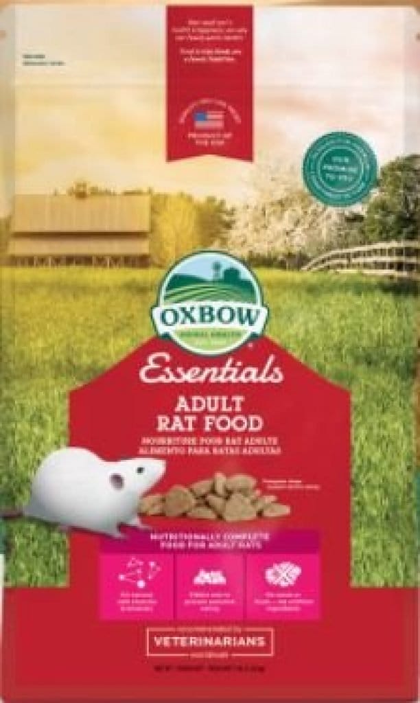 best food for pet rats