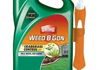 best weed control