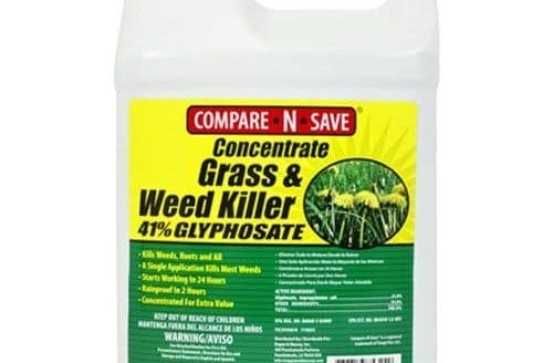 Best Pre Emergent Weed Killer