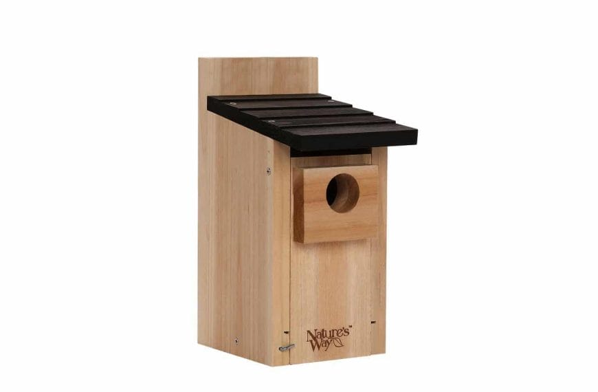 Best Bluebird House