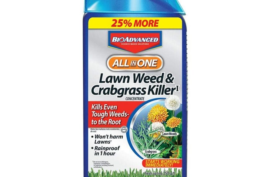 Best Crabgrass Pre Emergent