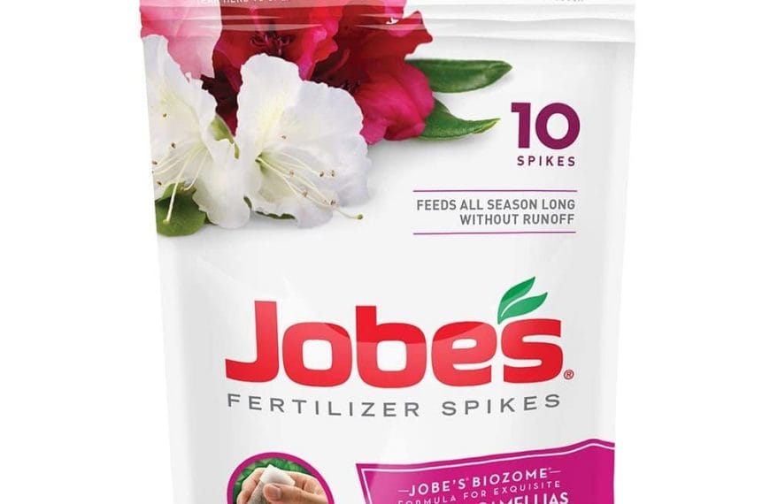 Best Azaleas Fertilizer