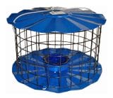 7 Best Bluebird Mealworm Feeder – The Ultimate Bluebird Feeder