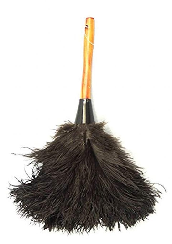 Best Feather Duster