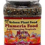 Best Fertilizer For Plumeria