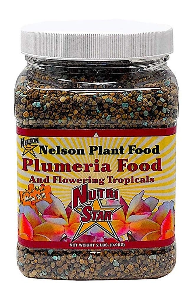 Best Fertilizer For Plumeria