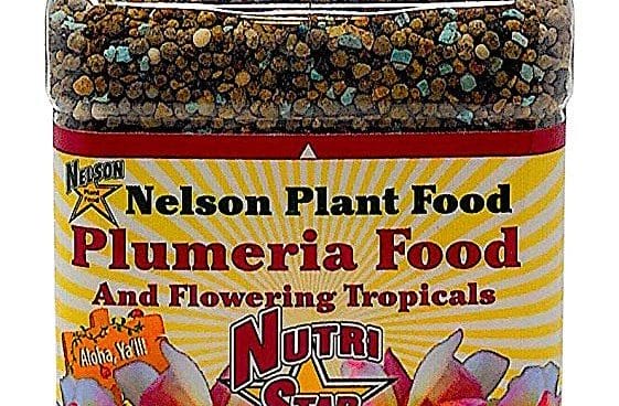 Best Fertilizer For Plumeria