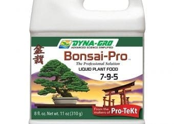Best Bonsai Fertilizer