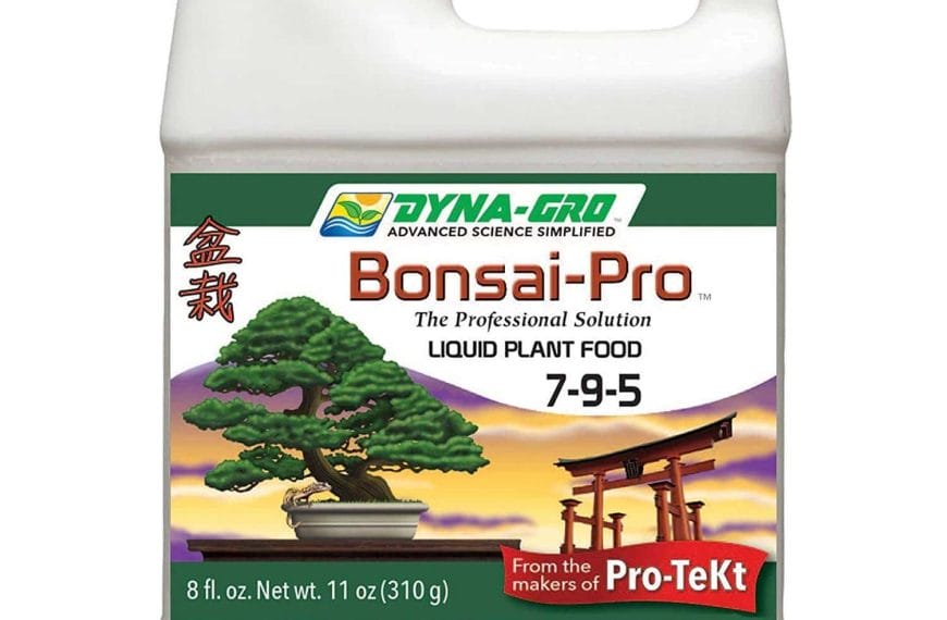Best Bonsai Fertilizer