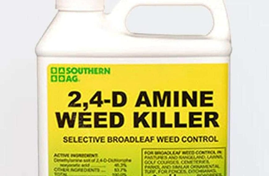 Best Pre Emergent For Bermuda