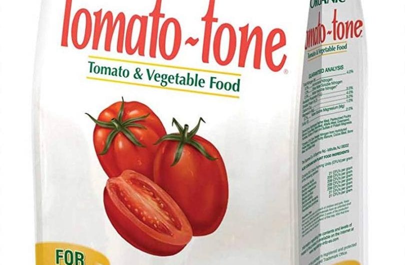 Best Tomatoes Fertilizer