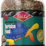 Best Tortoise Food