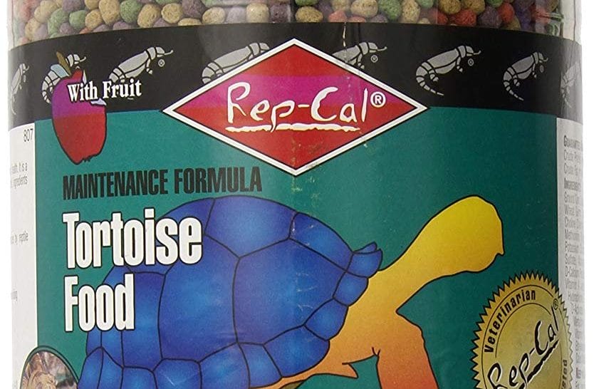 Best Tortoise Food