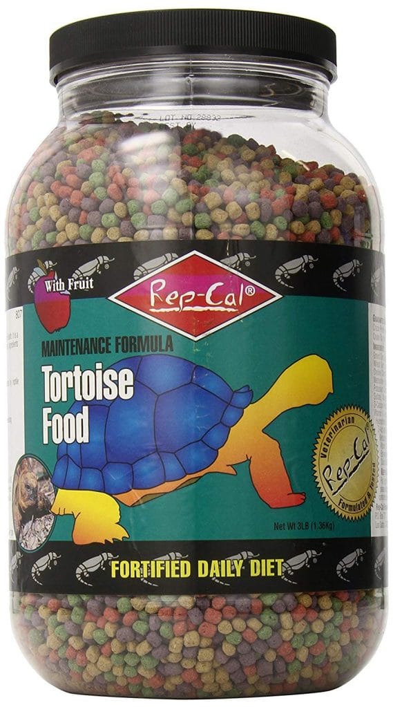 Best Tortoise Food