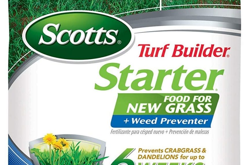 Best Fertilizer For New Sod – The Best Way To Fertilize New Sod