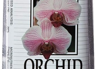 Best Orchid Fertilizer