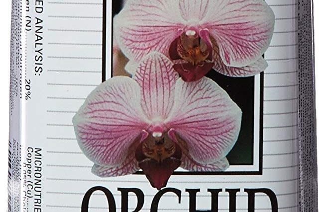 Best Orchid Fertilizer