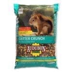 Best Food For Squirrels