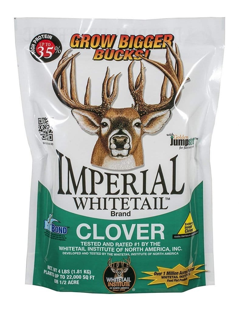 Best Food Plot Seeds